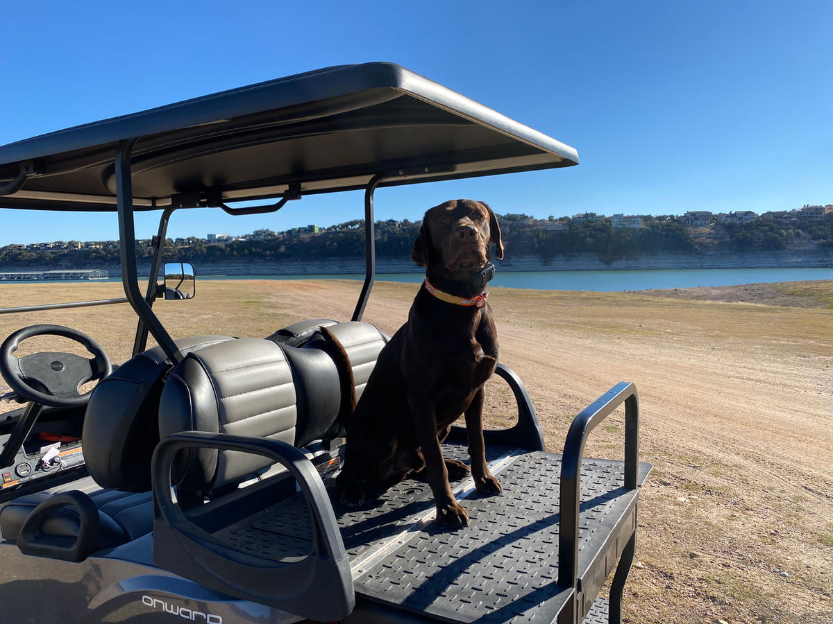 Magnum MD golf cart gallery photo